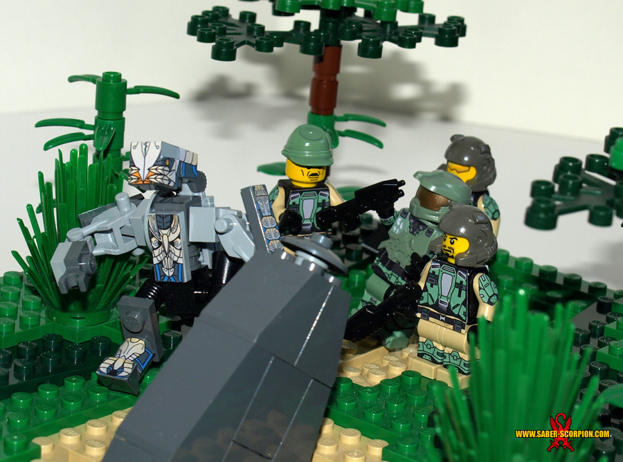 sierra117_08.jpg