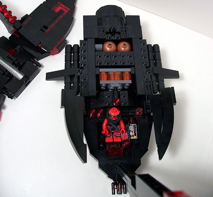 swallowtail11.jpg