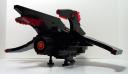 swallowtail04.jpg