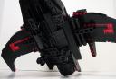 swallowtail06.jpg