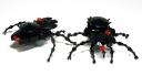 void_crawlers_04.jpg