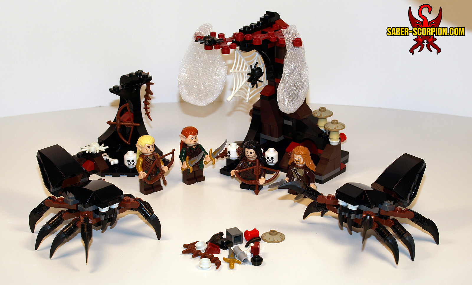 2012_w2_spiders01.jpg