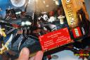 2012_w2_spiders00.jpg