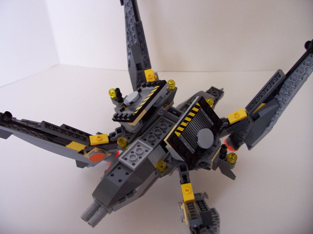 100_2654_startalon.jpg