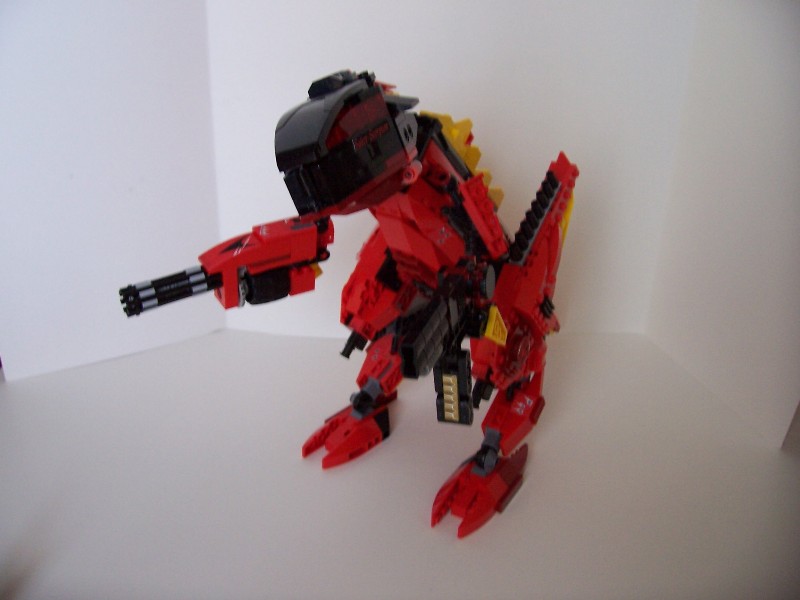 100_2678_raptor.jpg