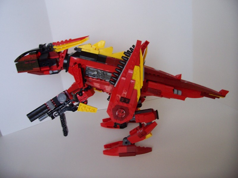 100_2681_raptor.jpg