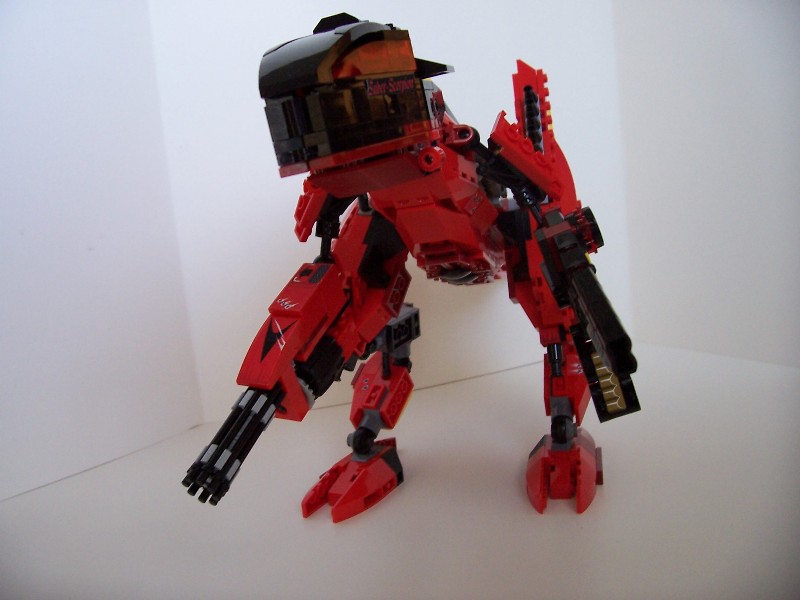 100_2682_raptor.jpg