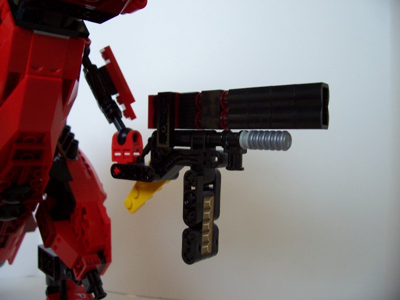 100_2683_raptor.jpg