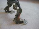 backleg2.jpg