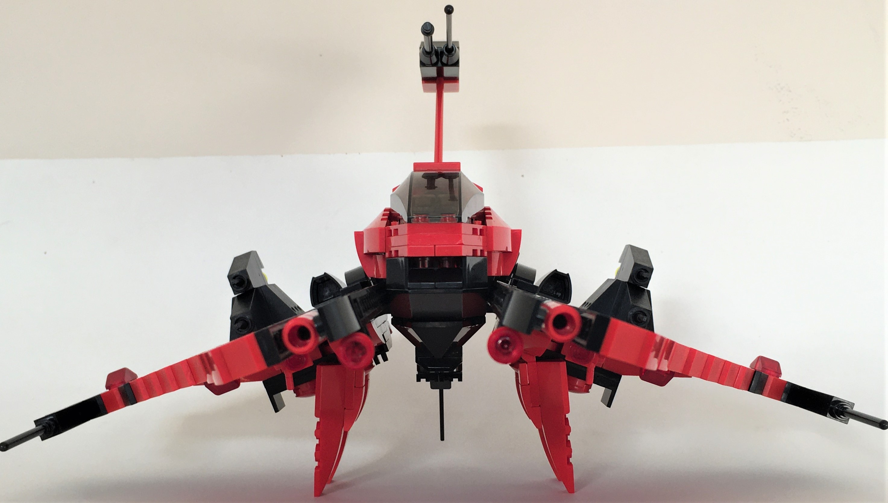 4_fore_landed.jpg