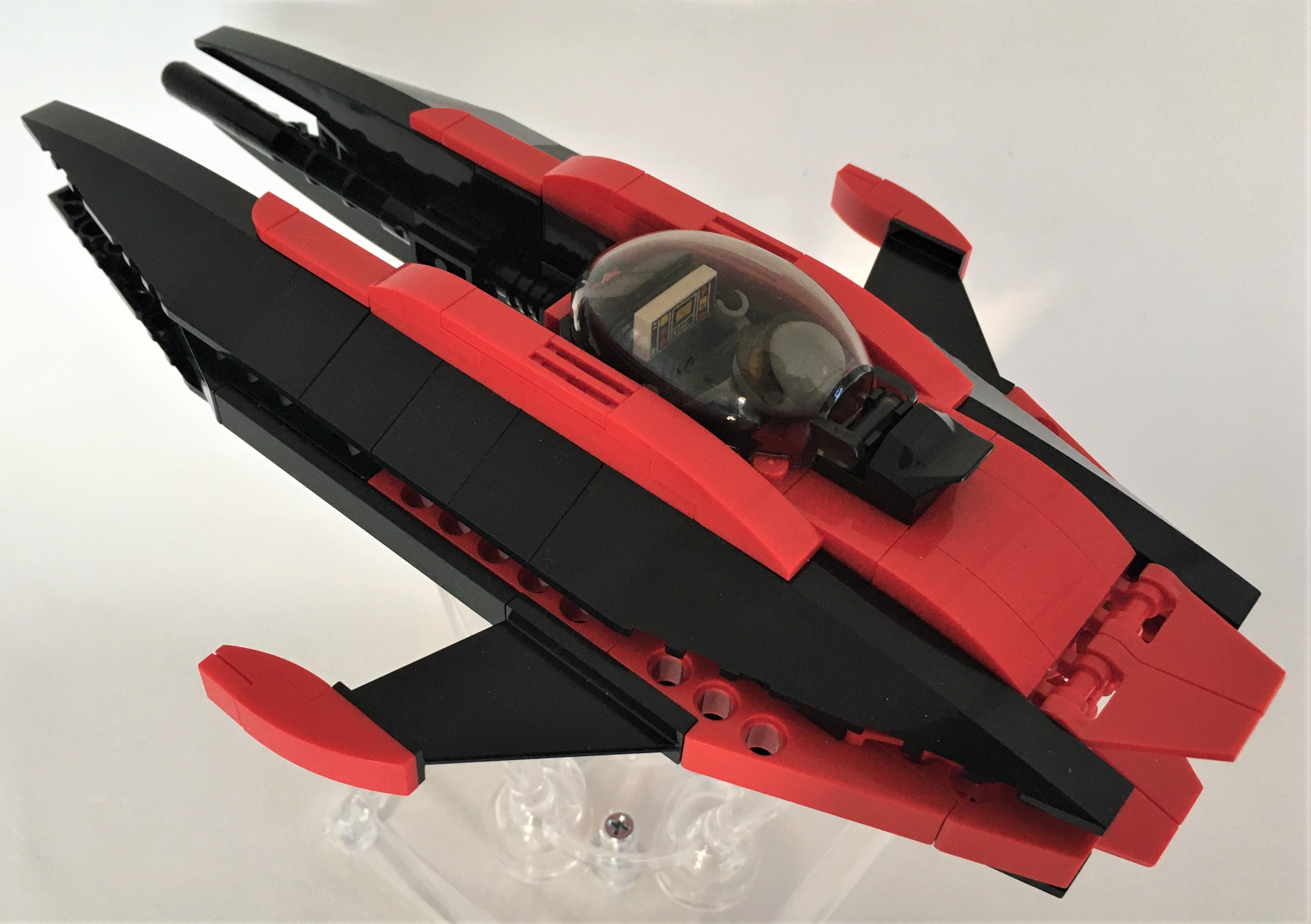 1_dorsal_aft.jpg