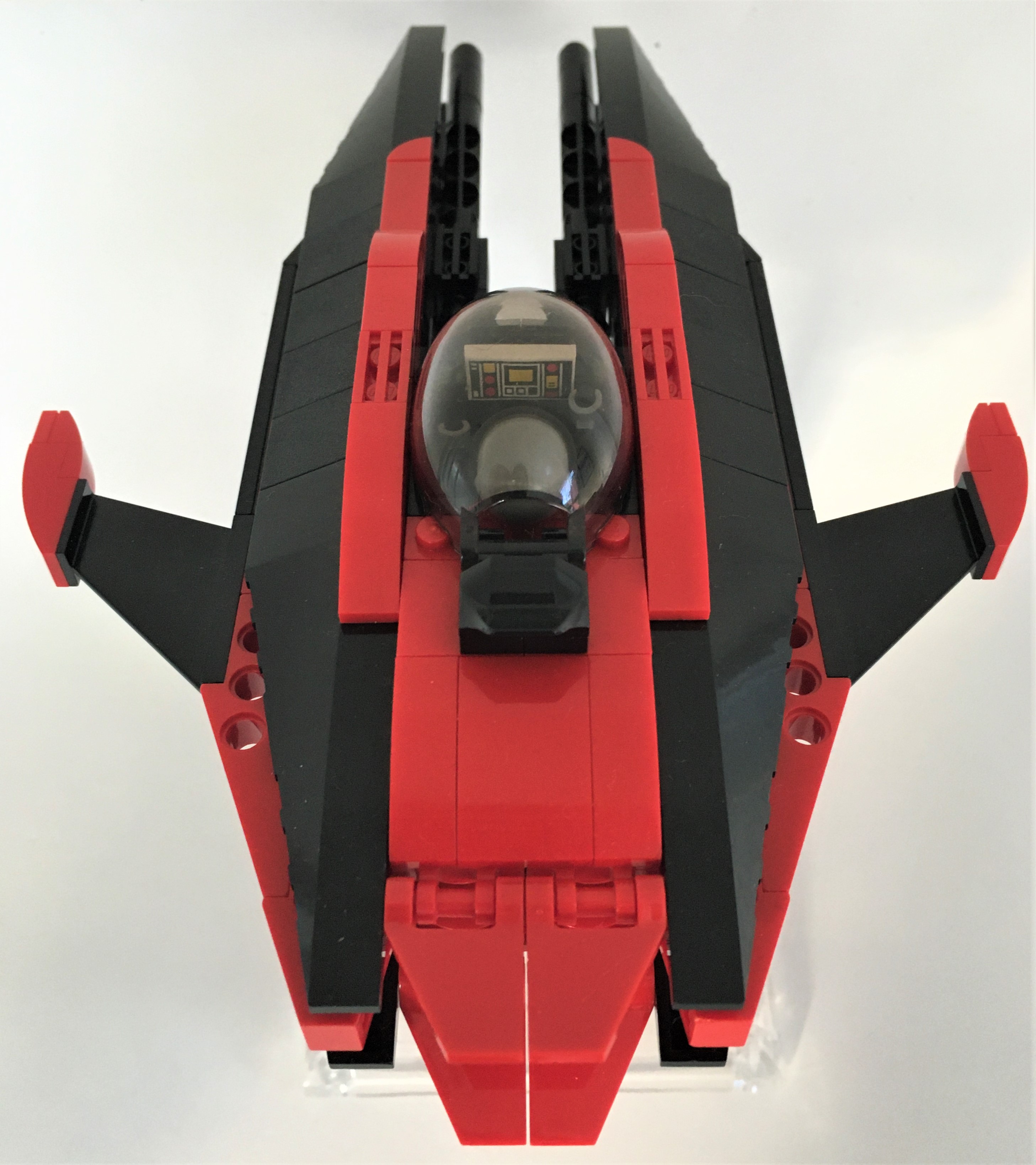 1_dorsal_aft2.jpg