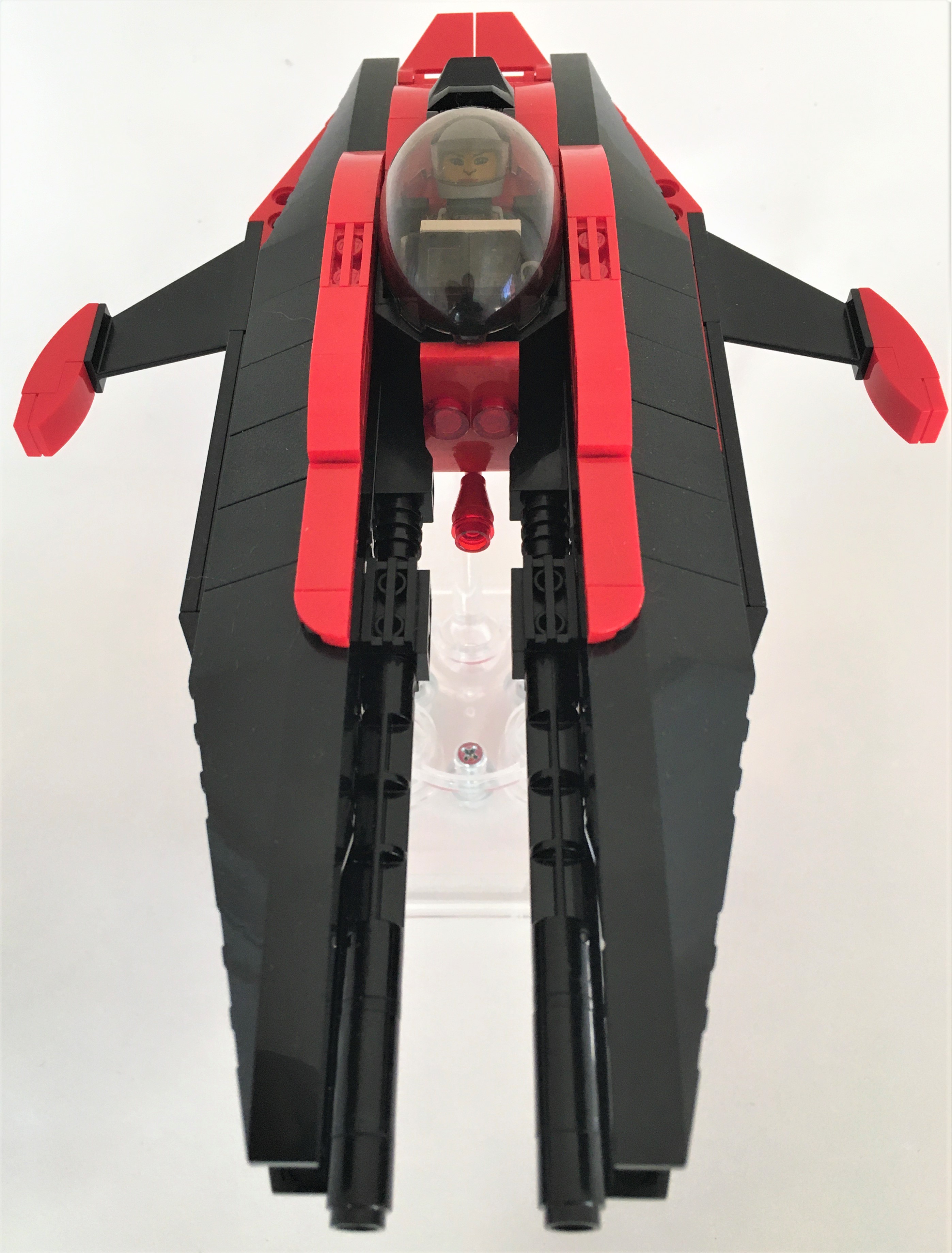1_dorsal_fore.jpg