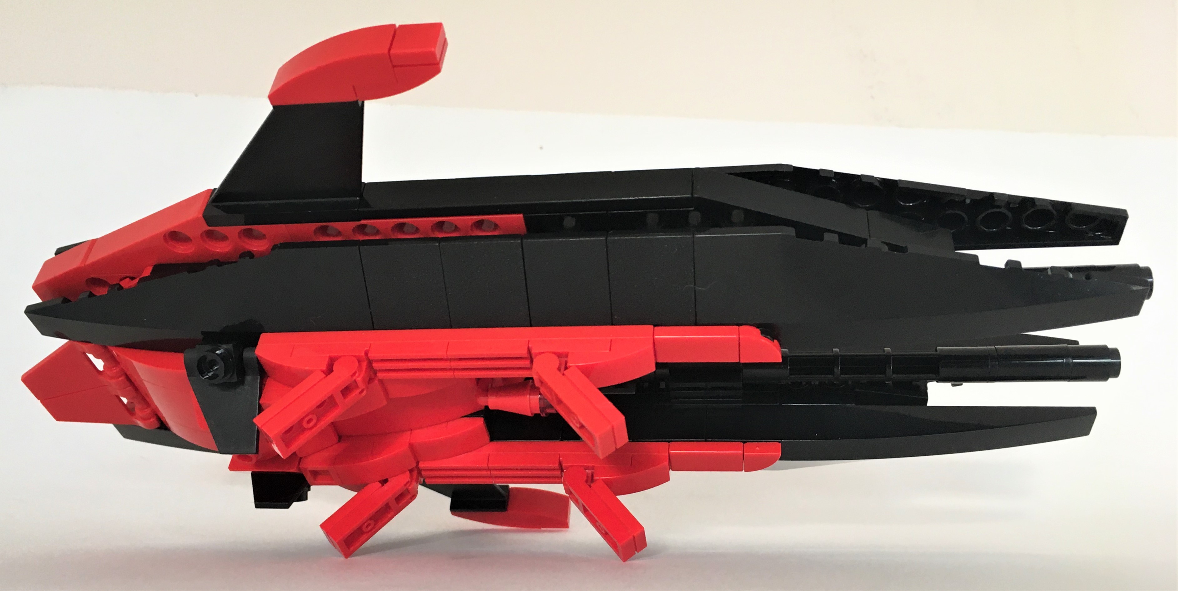 1_ventral_side_landed.jpg