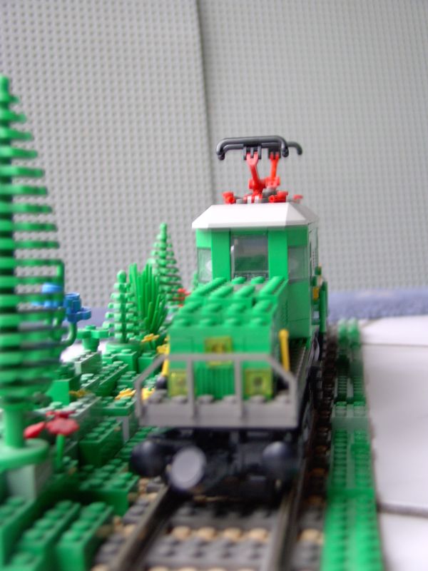 kroko-gr-022.jpg