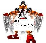 fly.jpg