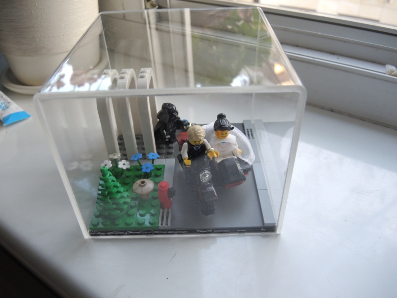 dscn6503.jpg