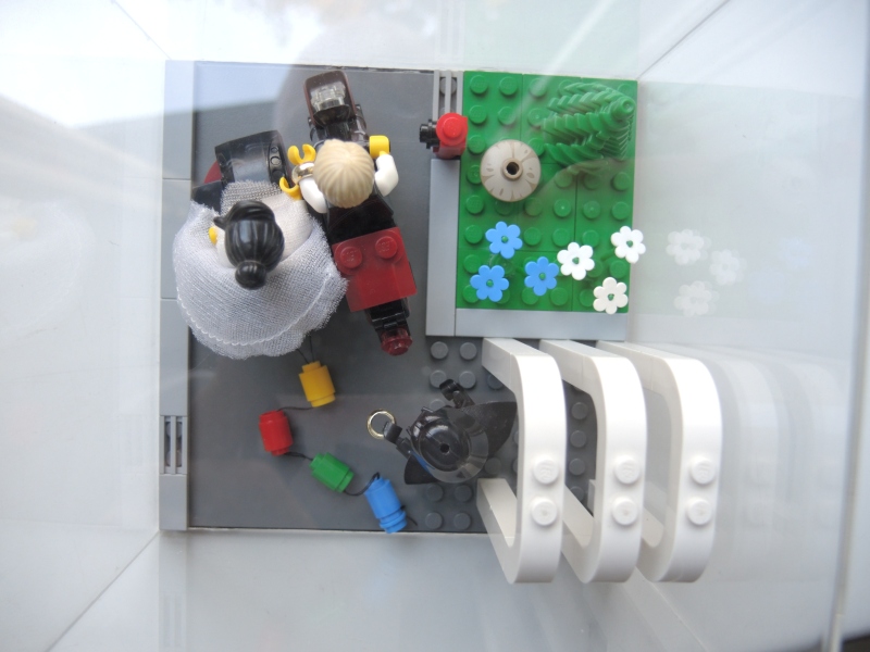dscn6510.jpg