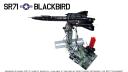 Blackbird
