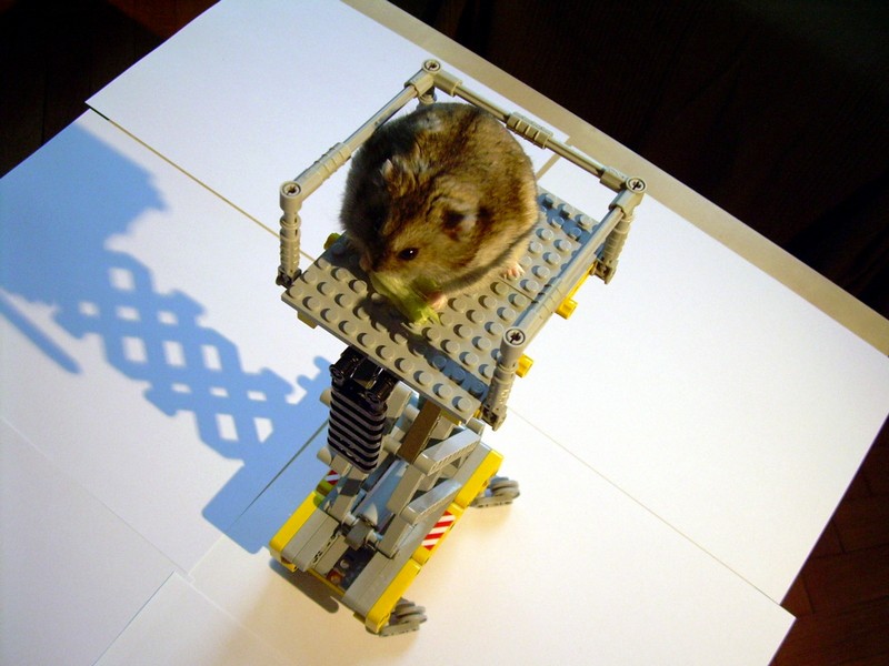 dscn8197.jpg