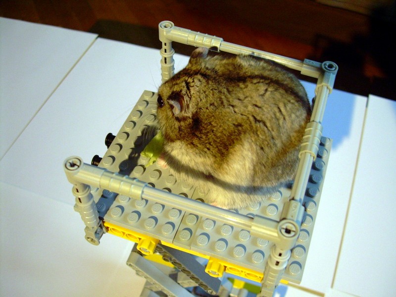 dscn8199.jpg
