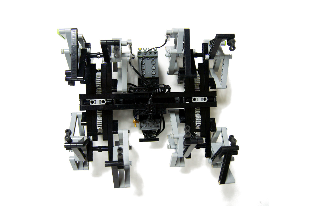dsc05548.jpg