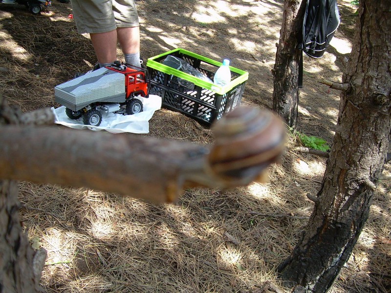 dscn7824.jpg