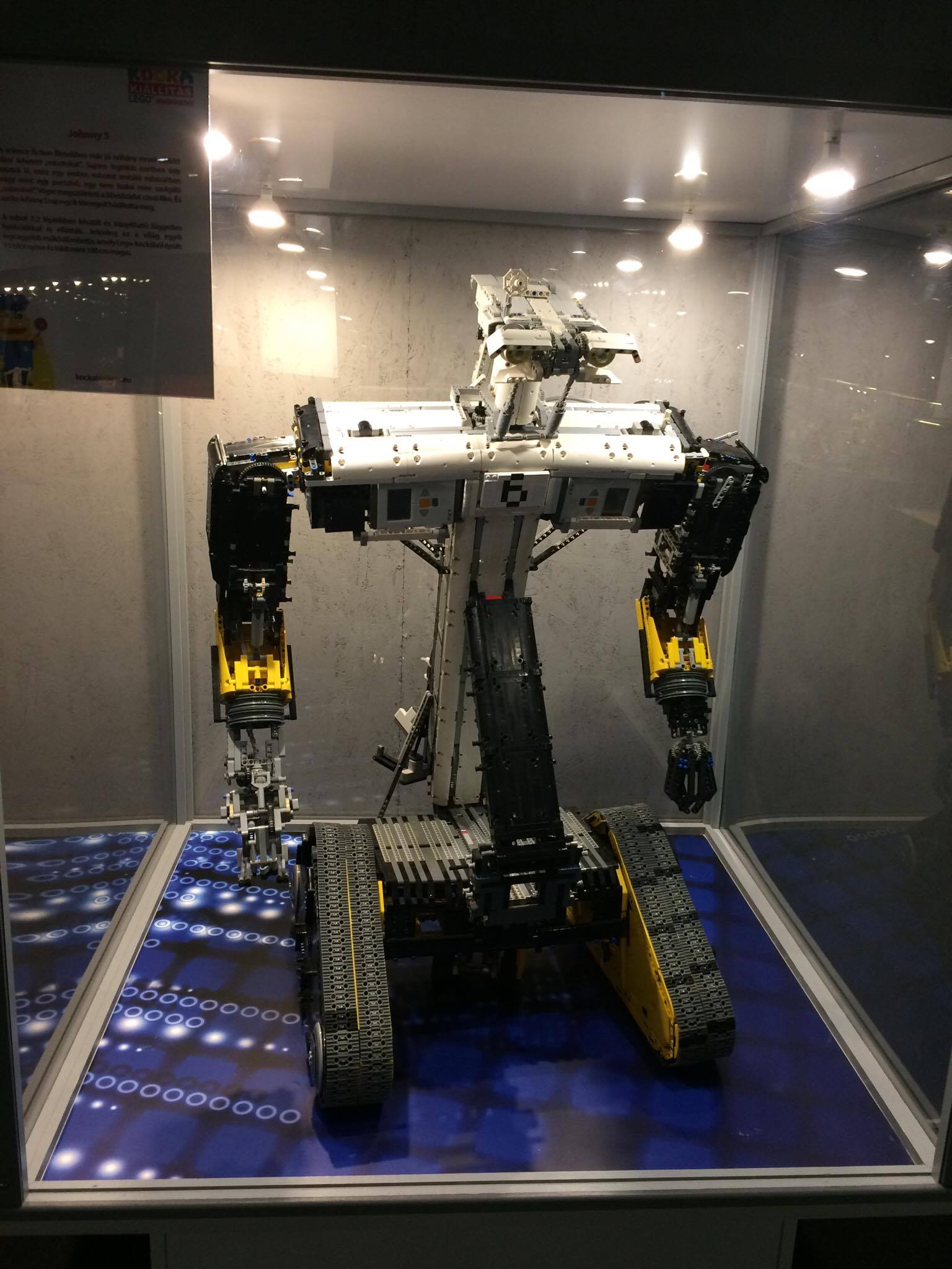 18110316_1893000607392830_1671892960_o.jpg