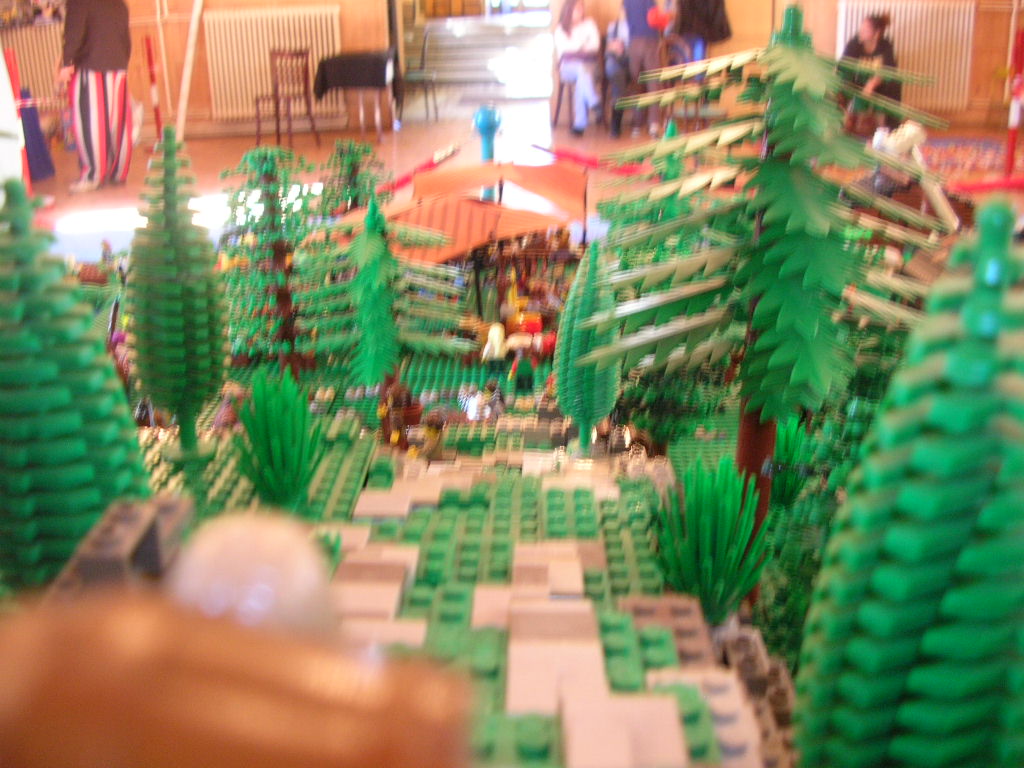 dscn9237.jpg