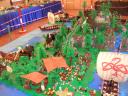 dscn9229.jpg