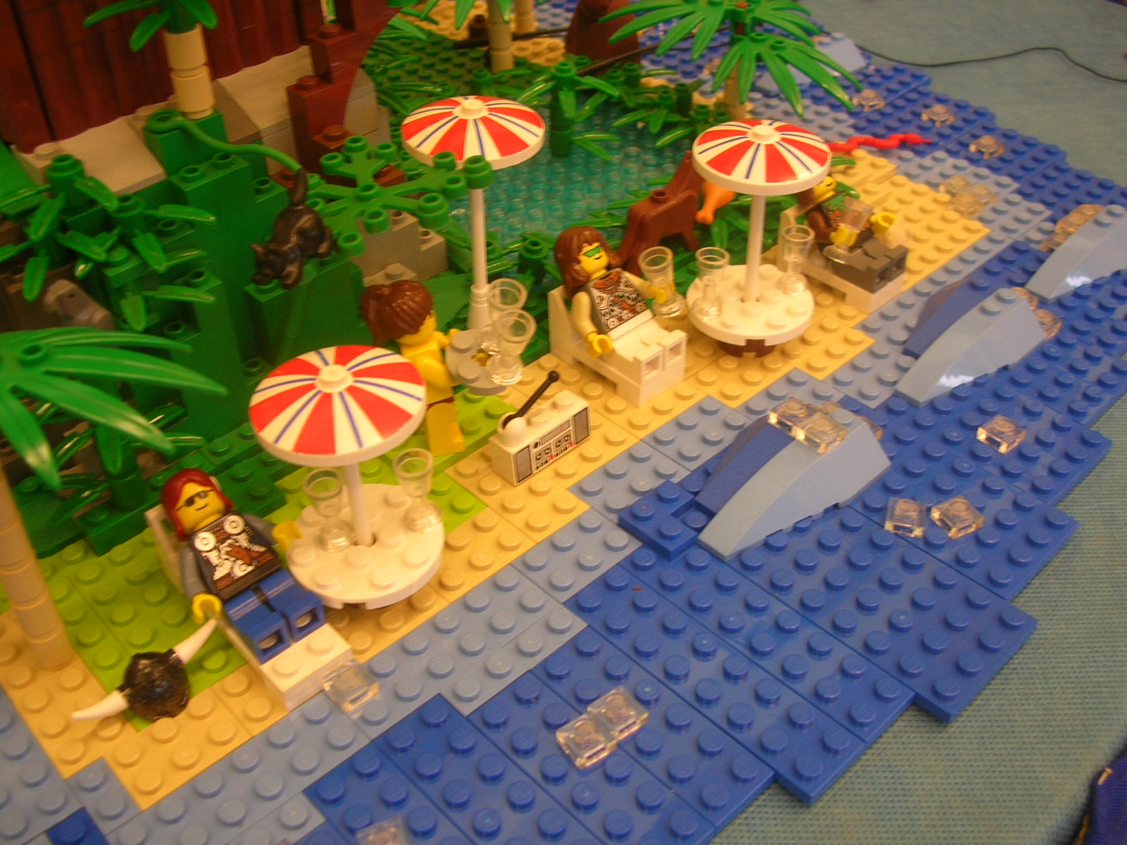 dscn7380.jpg