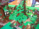 dscn0573.jpg