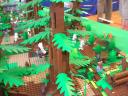 dscn0574.jpg