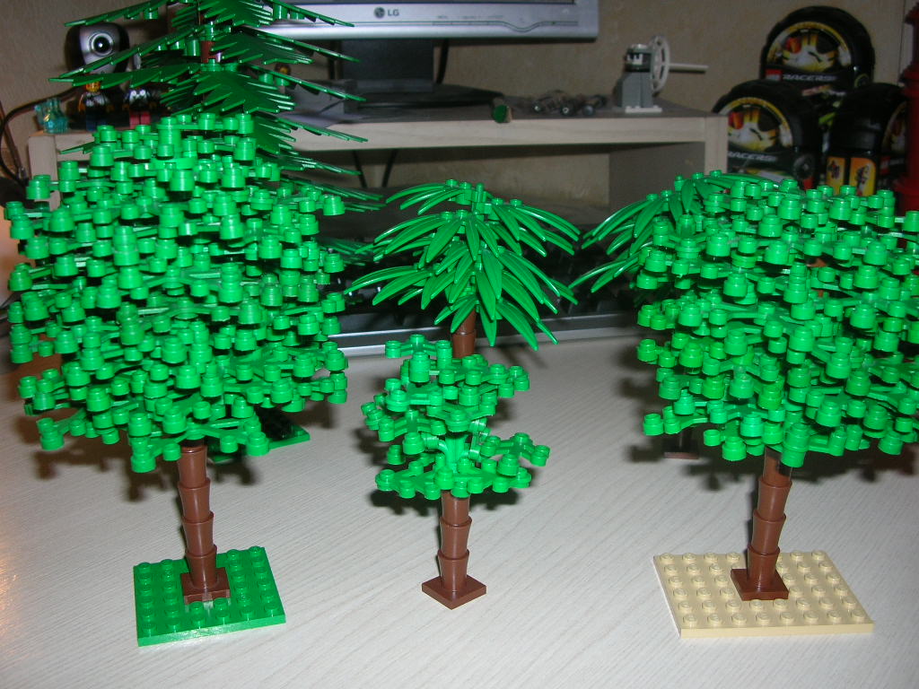 dscn3071.jpg
