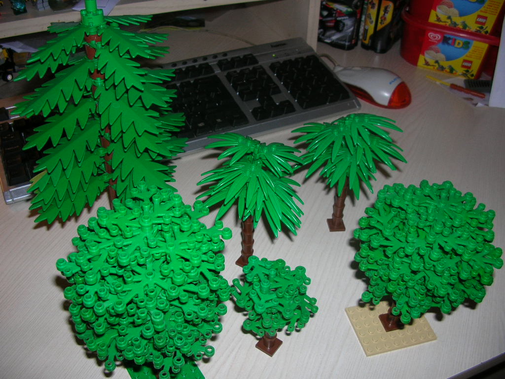 dscn3072.jpg
