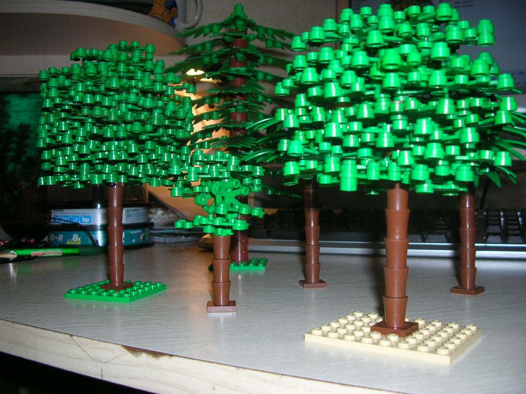dscn3074.jpg