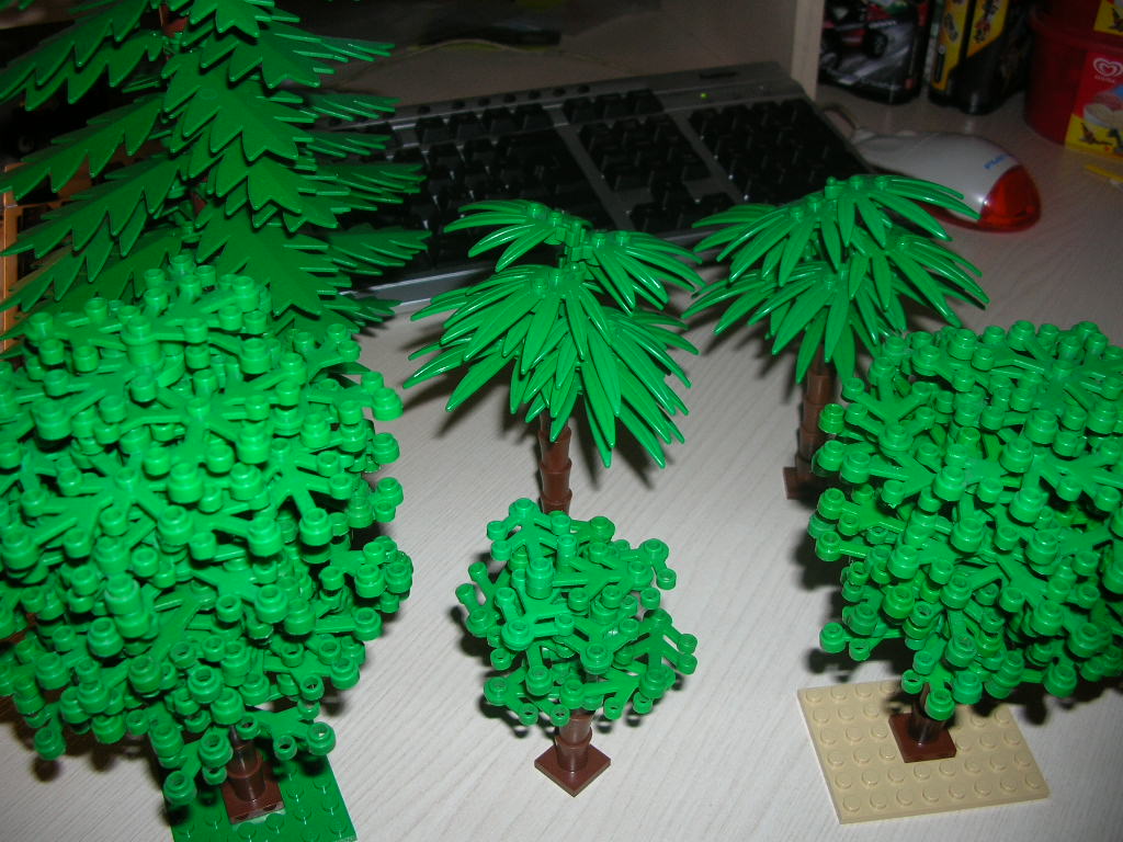 dscn3075.jpg
