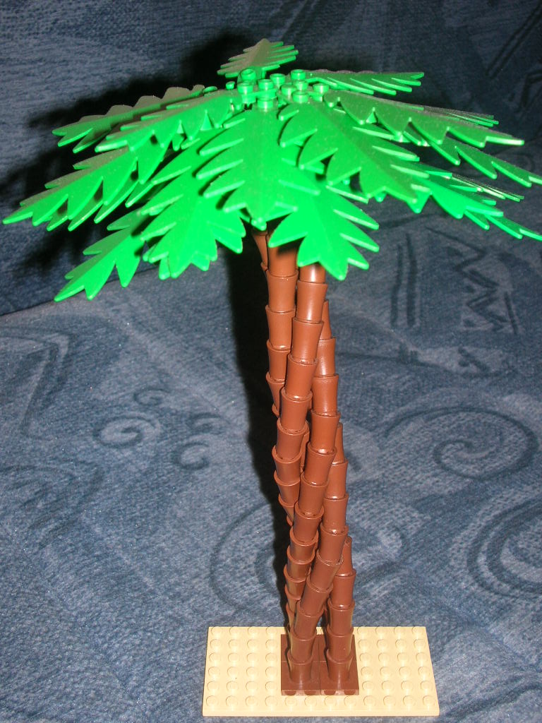 dscn3174.jpg