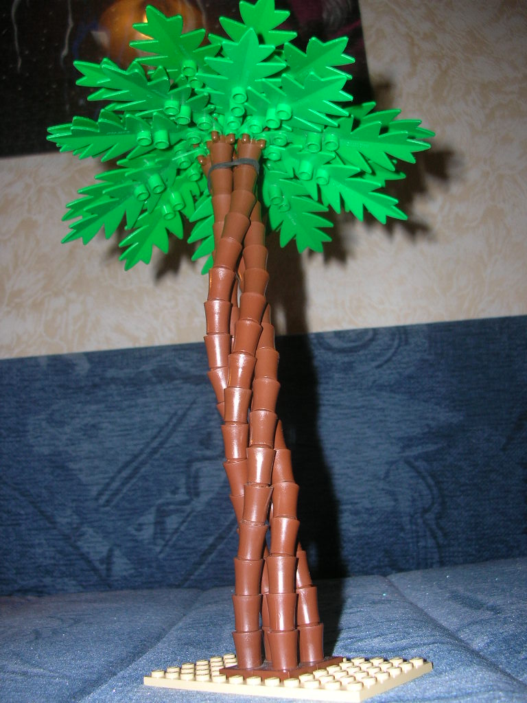 dscn3175.jpg