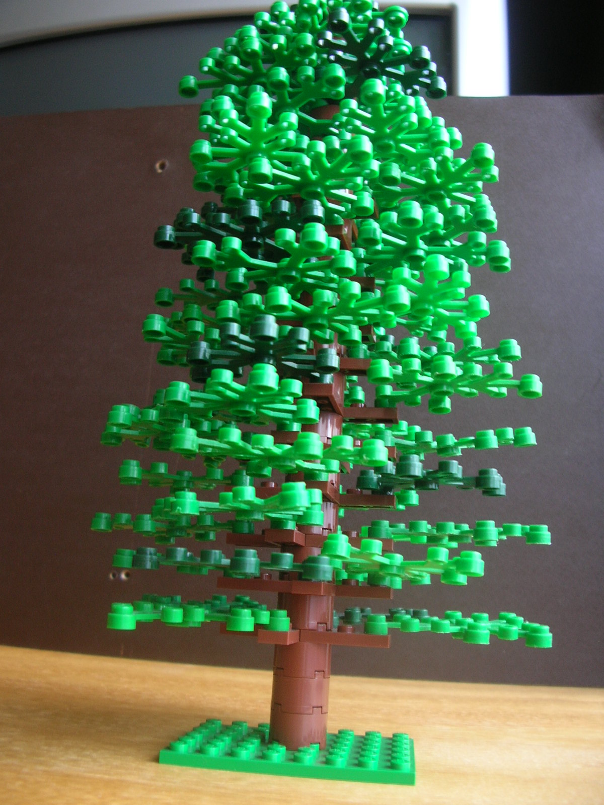 dscn6112.jpg