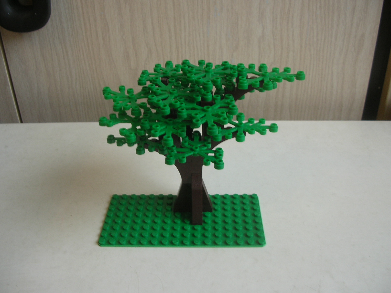 dscn7215.jpg