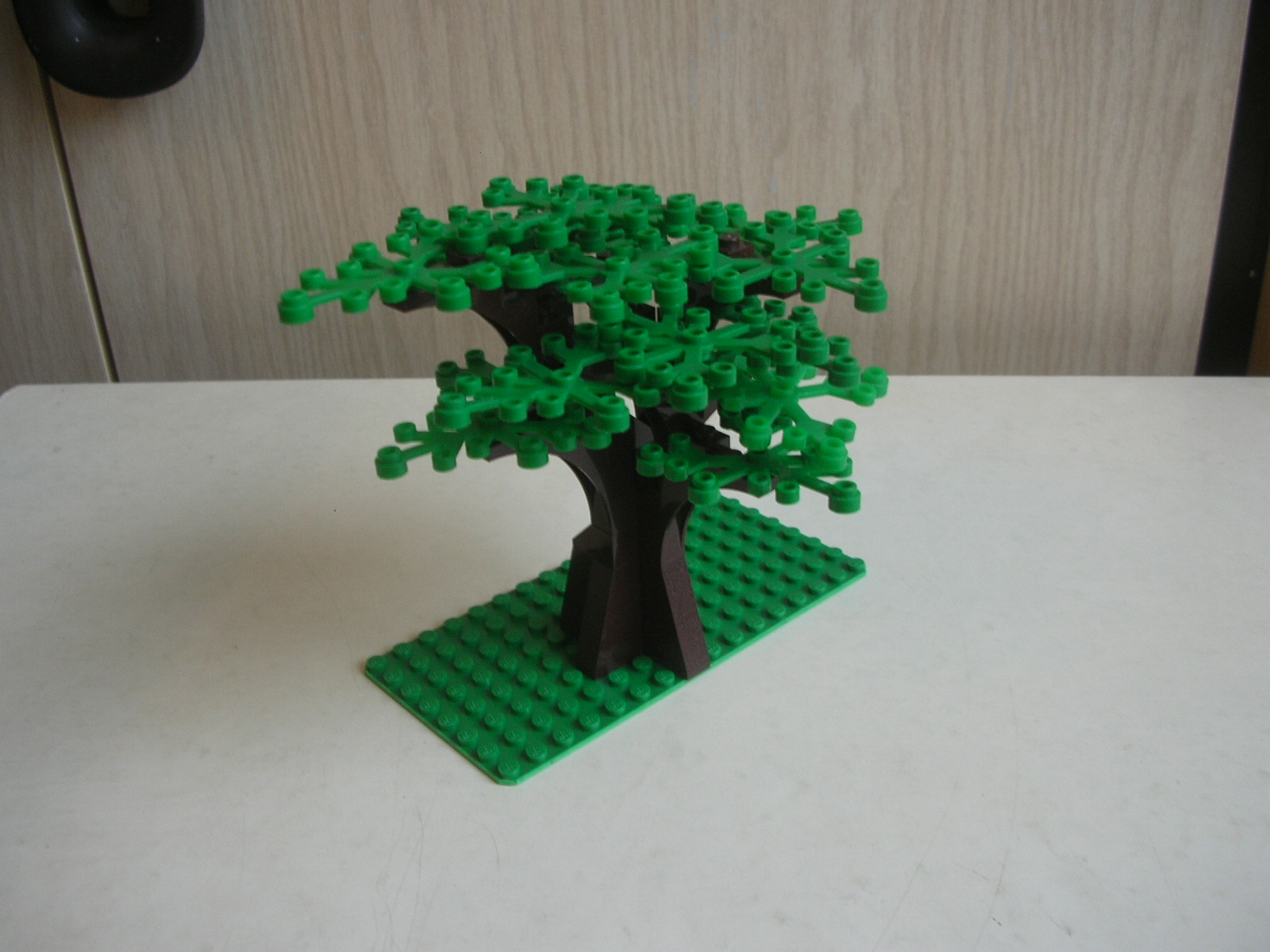 dscn7216.jpg