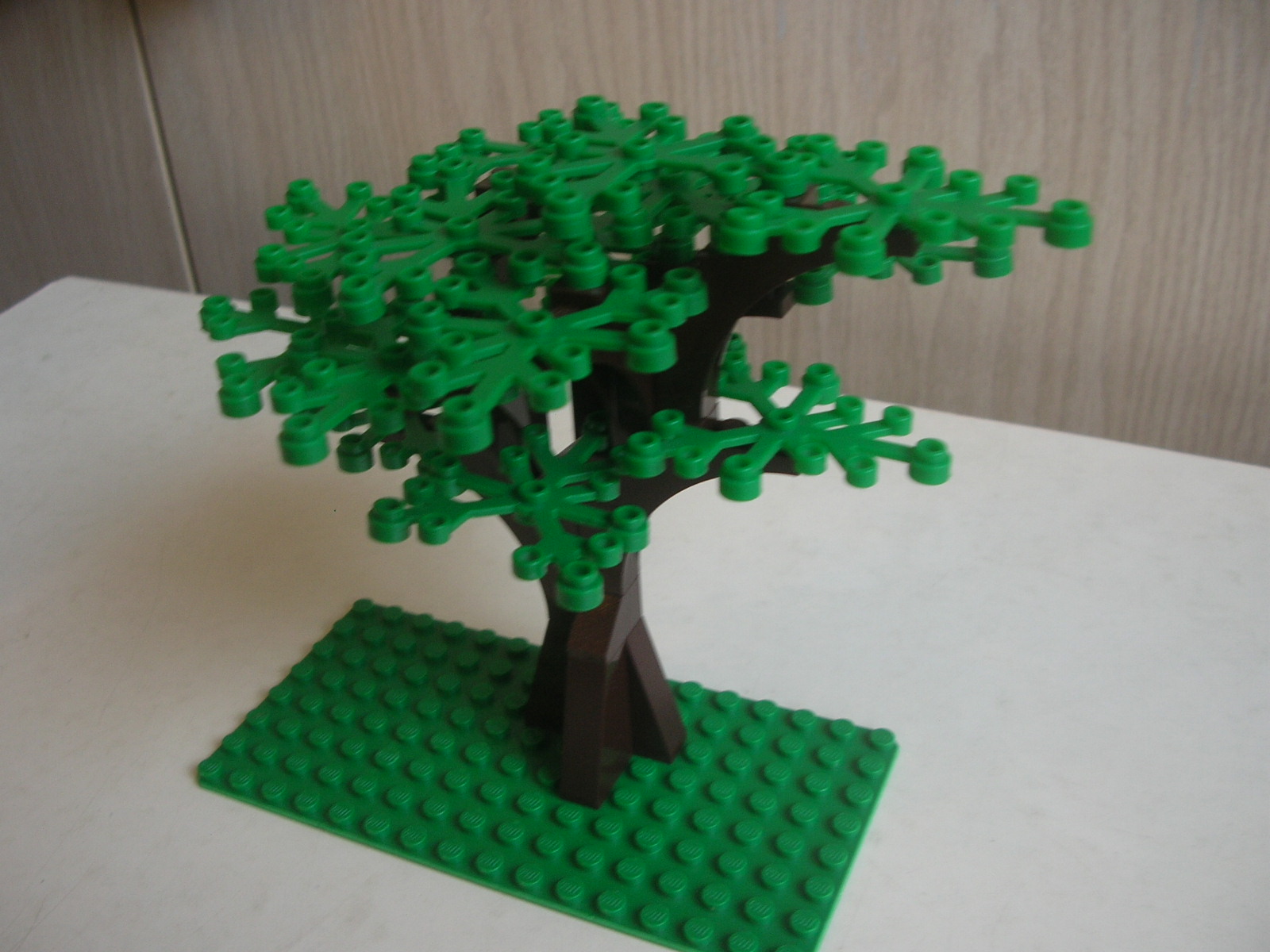 dscn7217.jpg