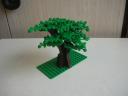 dscn7216.jpg