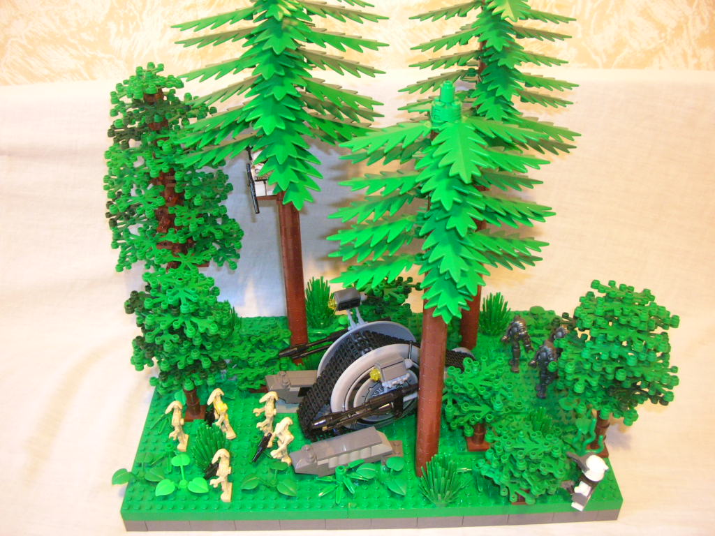 dscn9245.jpg
