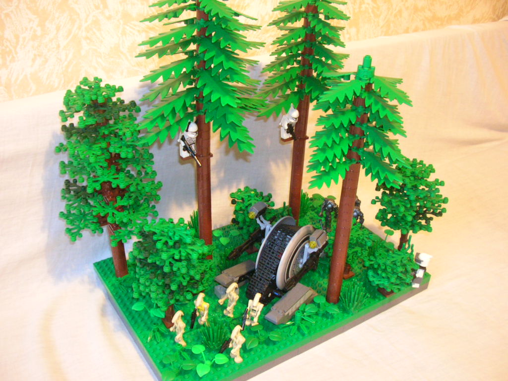 dscn9246.jpg