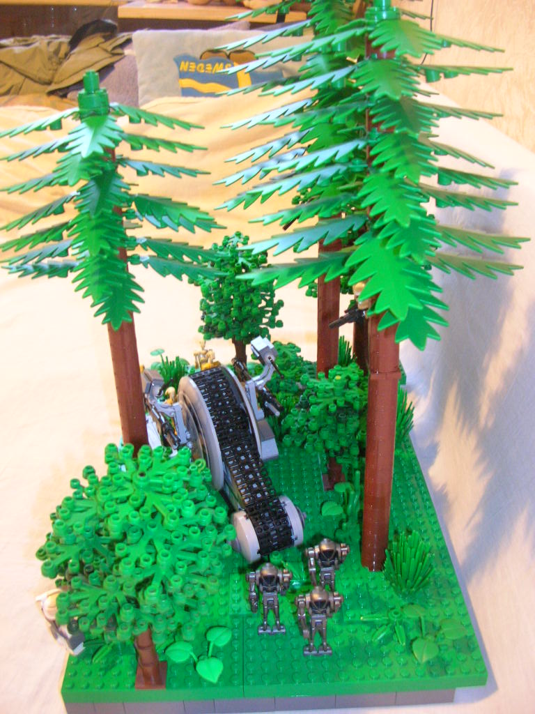 dscn9250.jpg