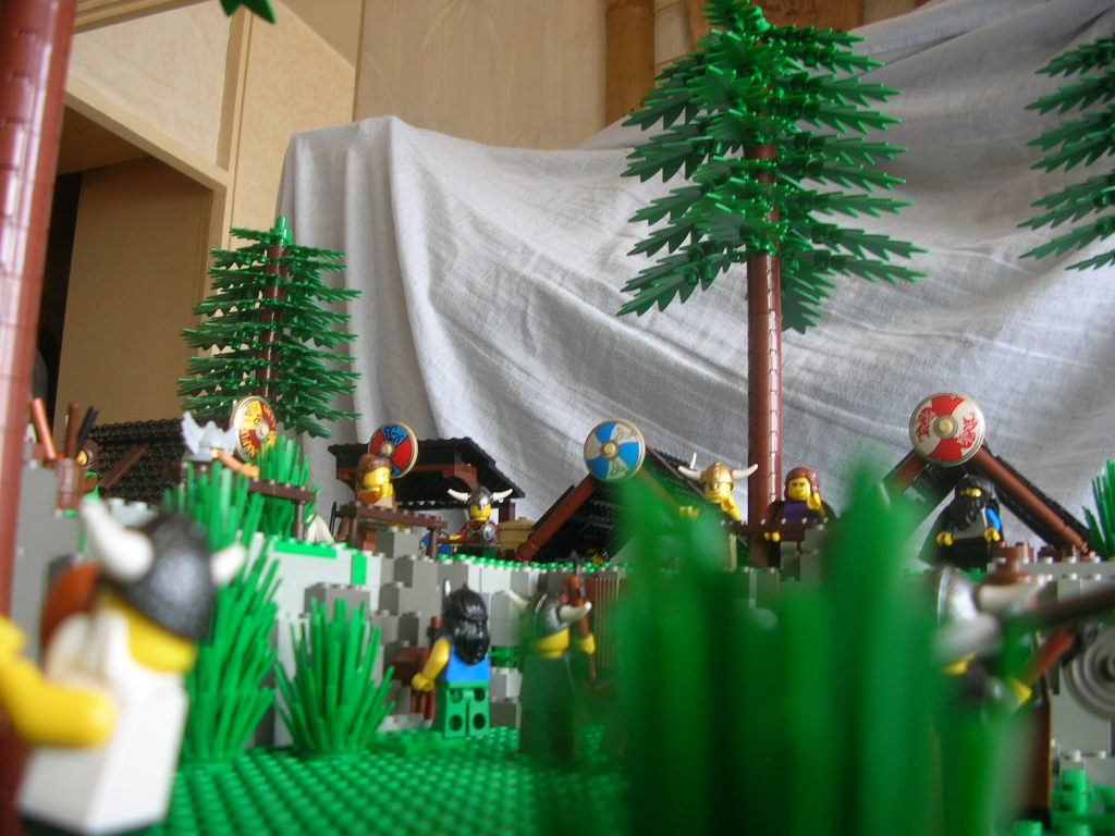 dscn7087.jpg