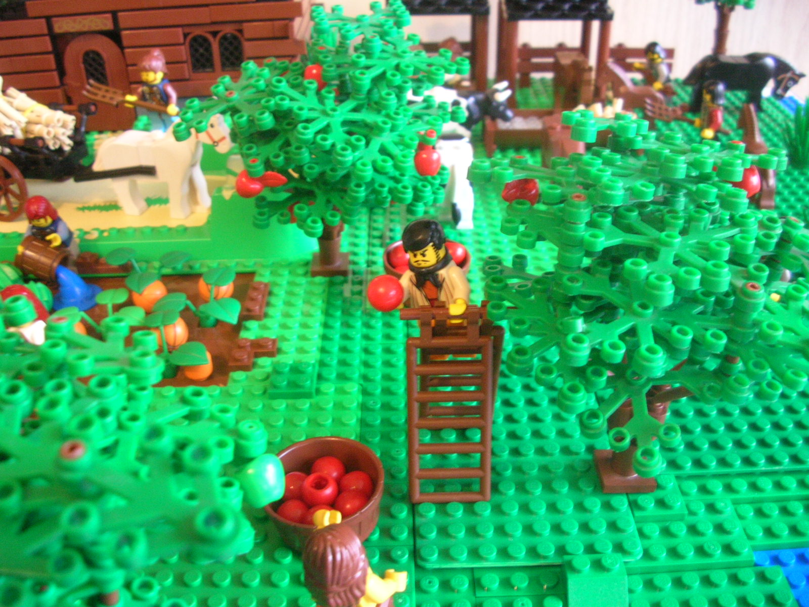 dscn7191.jpg