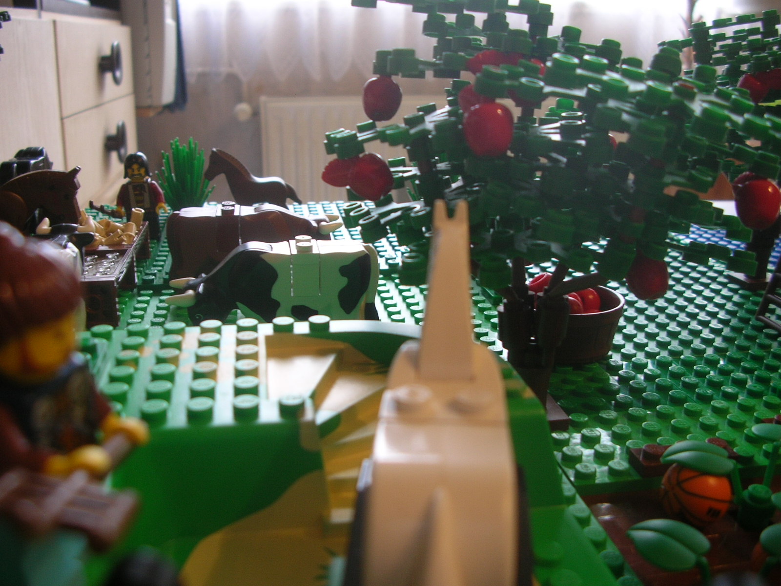 dscn7195.jpg